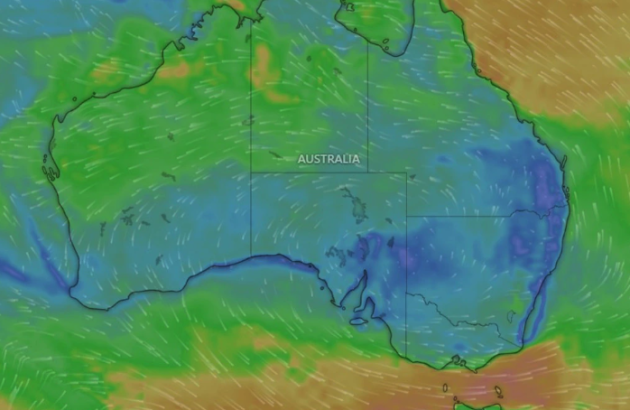 Frost hits South Australia wine regions