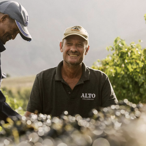 Tribute paid to Stellenbosch viticulturist
