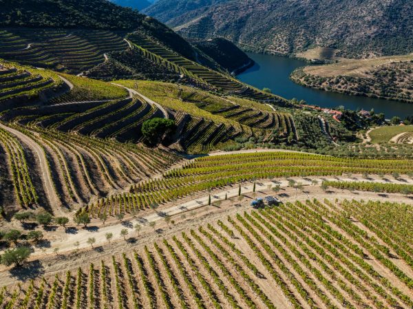 Fladgate reports on ‘exciting’ 2024 vintage as dry spell breaks