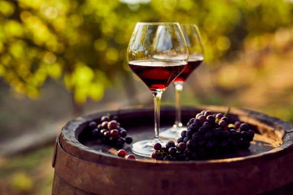 New study reasserts red wine helps reduce dementia risk