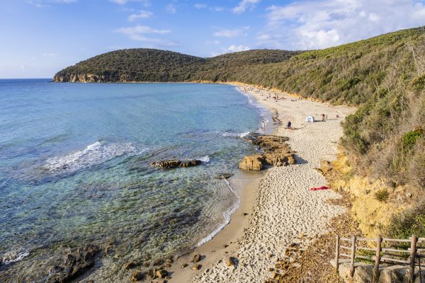 Sensi adapts to safeguard its coastal Vermentino