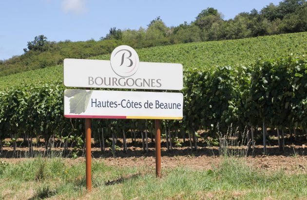 Burgundy appellation signs are up for auction