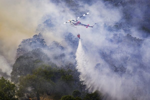 Is AI the solution to smoke-tainted wines?