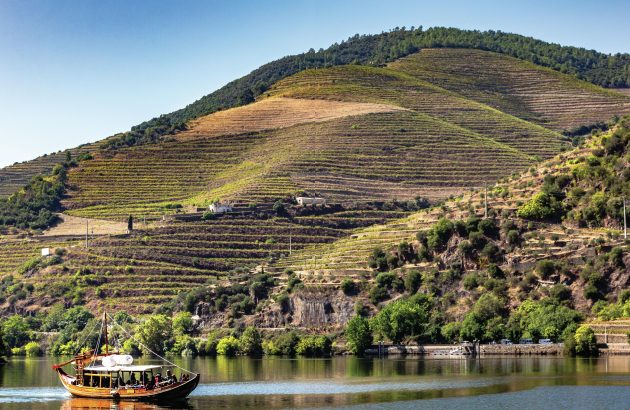 Is there a new hero grape for Port?