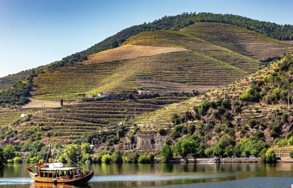 Is there a new hero grape for Port?