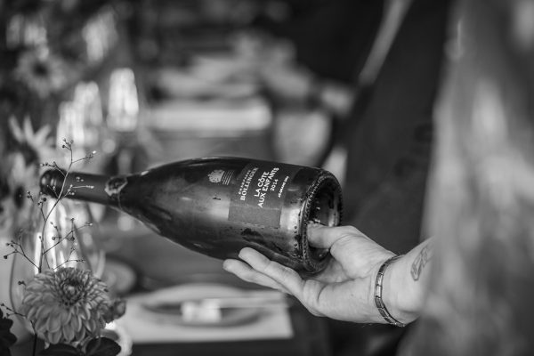 Bollinger launches 2014 VVF and Les Côtes aux Enfants