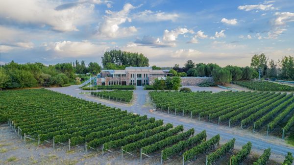 Art, passion, detail: crafting an icon wine at Bodegas Bianchi