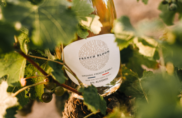 The biggest no and low drinks launches of 2024