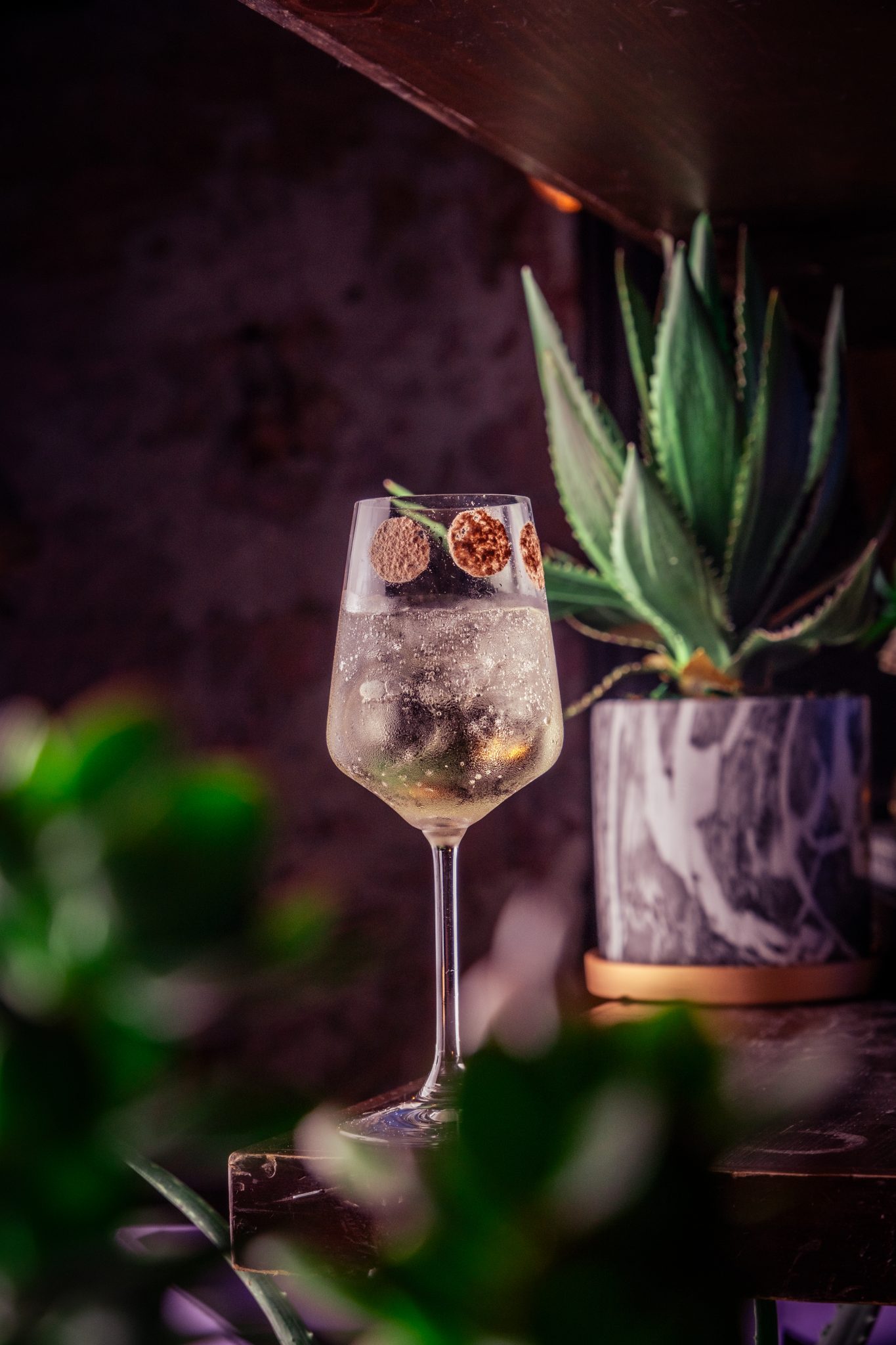 DFI Cantina taps into Singapore's growing thirst for agave