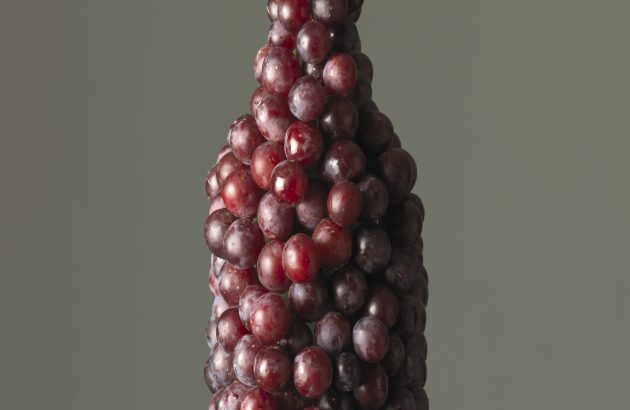 Is South Africa due an organic wine revolution?