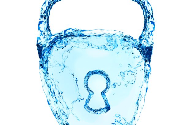 Drinks companies to endure water supply limits