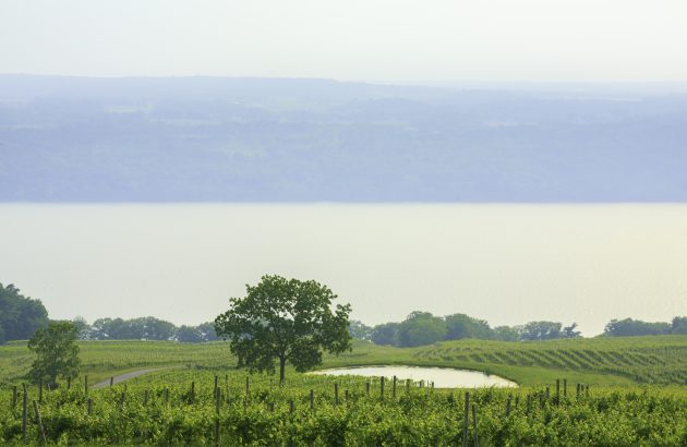 Why world-class winemakers are headed for the Finger Lakes