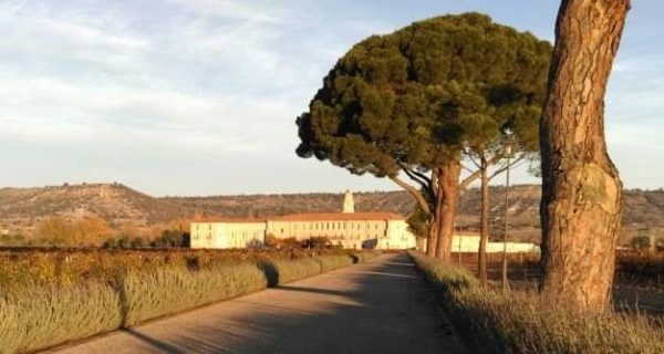 Spain ‘needs to learn how to market our fine wines’, producer claims