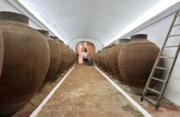 Could English amphora wines become more commonplace?