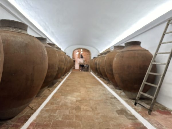 Could English amphora wines become more commonplace?