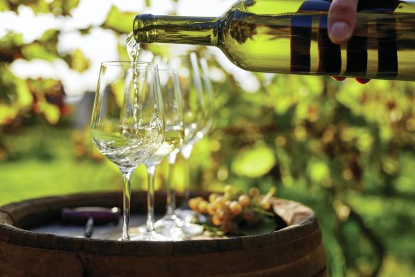 All the medallists from the Global Chardonnay Masters 2024