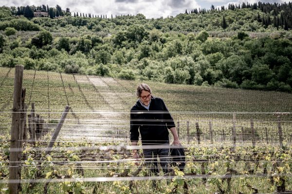 Tenuta La Massa releases ‘spectacular’ single-vineyard monocépage Merlot