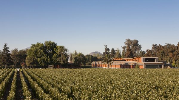 Almaviva shows transatlantic approach to Chilean wine