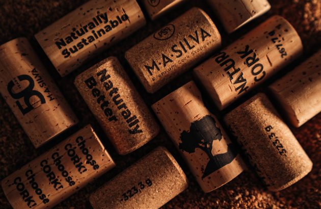 MA Silva combines AI with sustainability and innovation