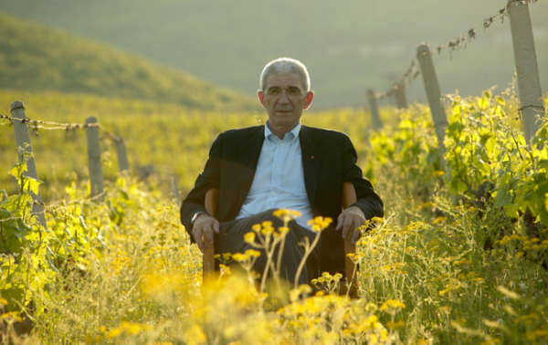 Eminent Greek winery founder dies aged 82