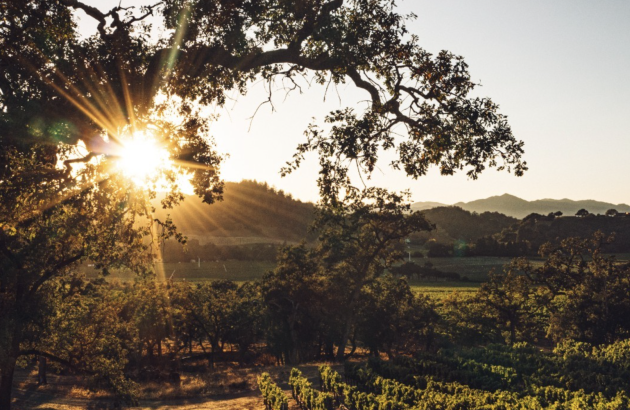 Stag’s Leap Wine Cellars gains regenerative certification