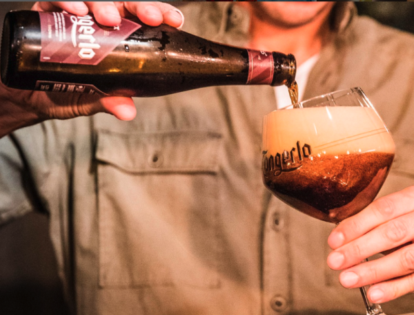 Haacht moves UK distribution to Morgenrot