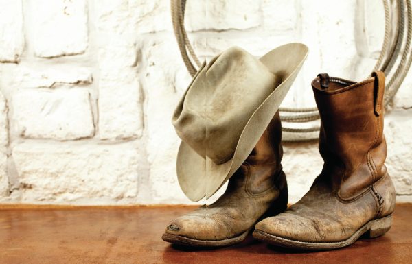 What does the future hold for Texan wine?