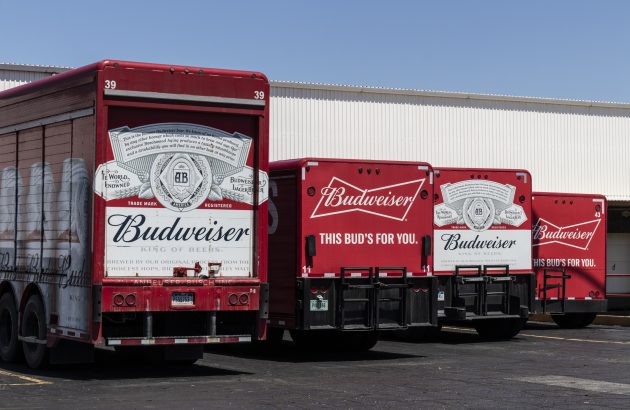 Poor Asia Pacific sales drag down AB InBev volumes