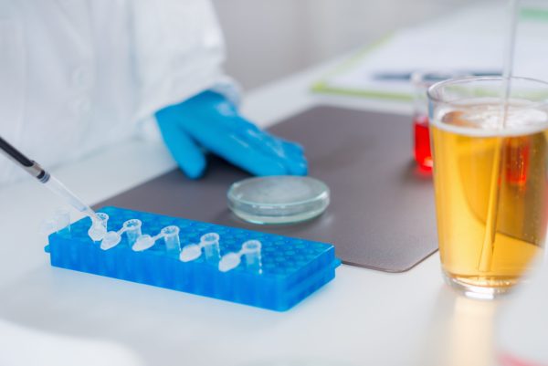 Scientists identify potential in probiotic beer