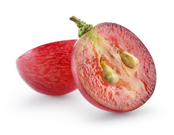 Chemical found in red wine used for bowel cancer drug