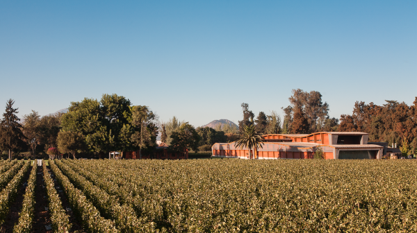 The story of Almaviva part II: La Place and the market