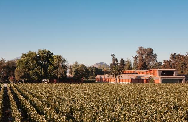 The story of Almaviva part II: La Place and the market