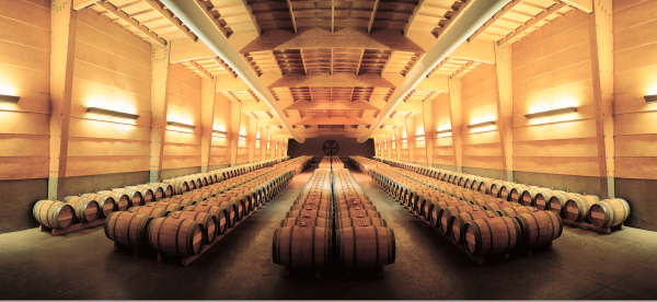 The story of Almaviva part I: creation and evolution