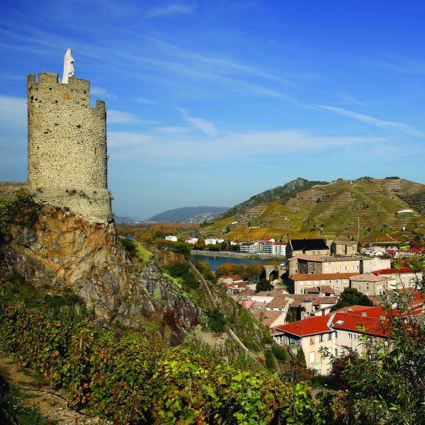 Masterclass demonstrates perennial appeal of Côtes du Rhône