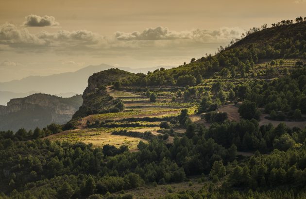 Scala Dei celebrates 50 years of Priorat winemaking