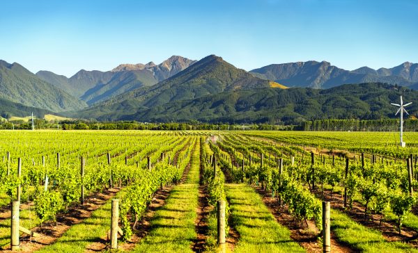 New Zealand wine celebrates 30 years of sustainable winegrowing