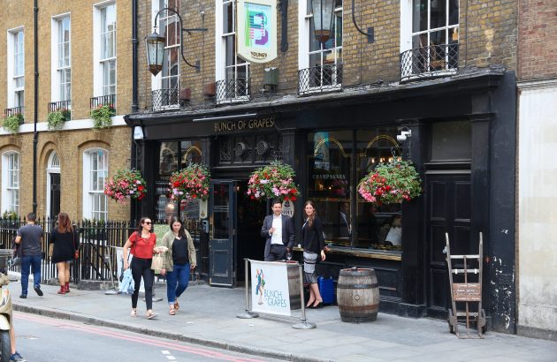 Young’s revenue surge provides ‘big dose of cheer’