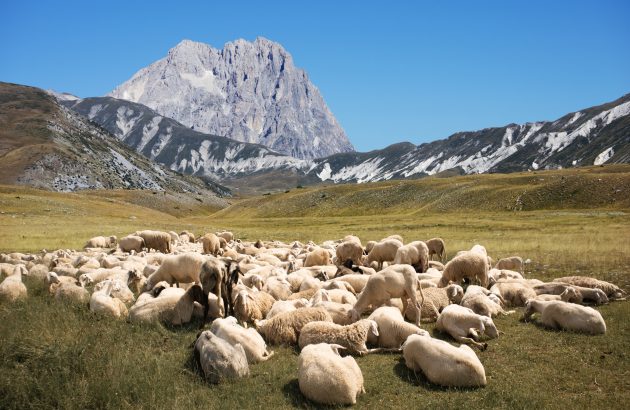 Why wineries in Abruzzo are heading for the hills