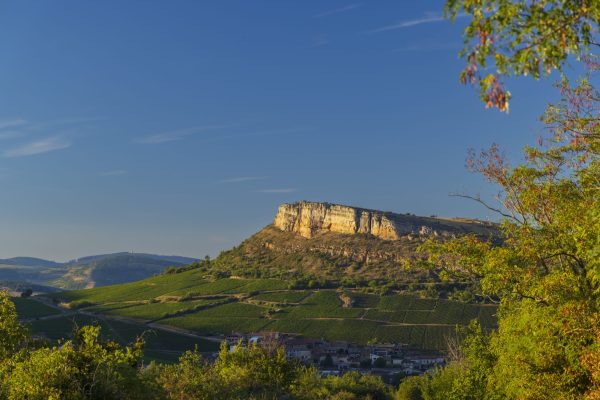 Pouilly-Loché and Pouilly-Vinzelles AOC win new premier cru sites