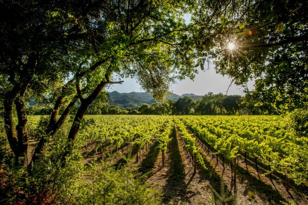 O’Neill Vintners & Distillers achieves organic certification