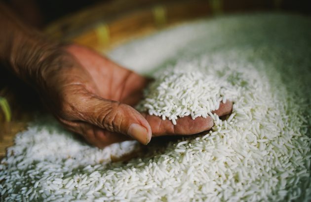 Evidence for Neolithic rice beer discovered in China