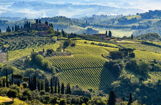 Hors Bordeaux 2025: Italy releases’ tasting notes