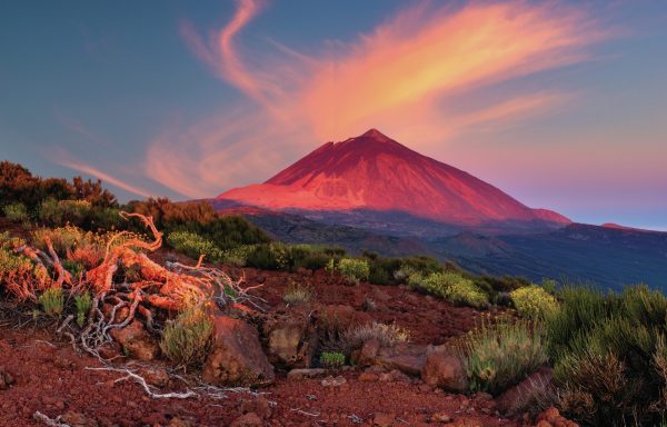 Why the wines of the Canary Islands are ripe for the UK