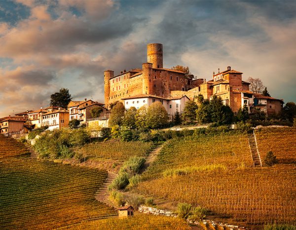 The Wine Society announces bumper Barolo en primeur