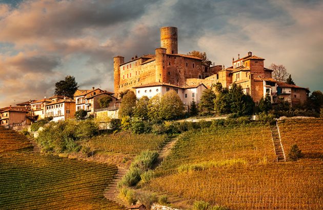 The Wine Society announces bumper Barolo en primeur