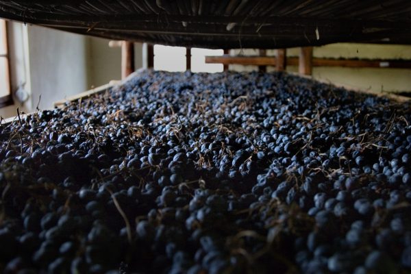 Valpolicella Consorzio to make Wine Paris debut in centenary year