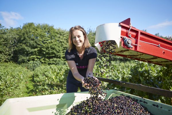 New 100-mile drinks region emerges at English-Welsh border