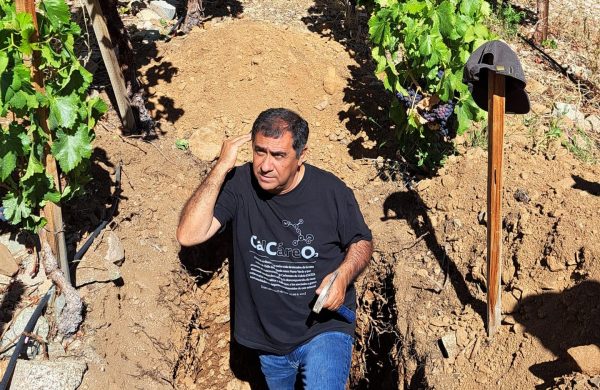 Marcelo Retamal steps aside from Chile’s Viñedos de Alcohuaz