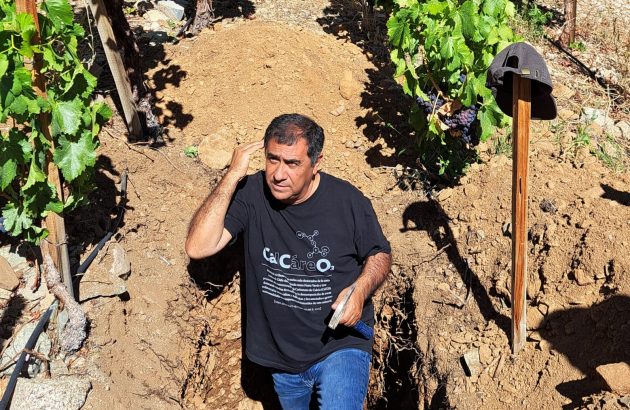Marcelo Retamal steps aside from Chile’s Viñedos de Alcohuaz