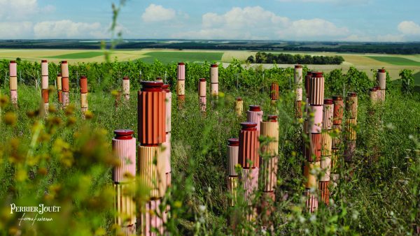 Perrier-Jouët combines art and biodiversity in Ambonnay vineyard